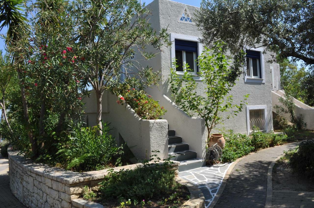 Into The Blue Villa Arkadiko Chorio Екстер'єр фото