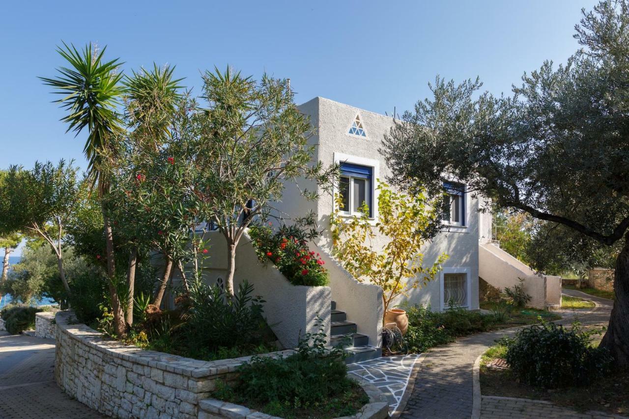 Into The Blue Villa Arkadiko Chorio Екстер'єр фото