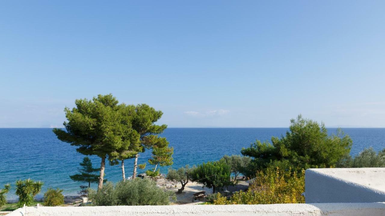 Into The Blue Villa Arkadiko Chorio Екстер'єр фото