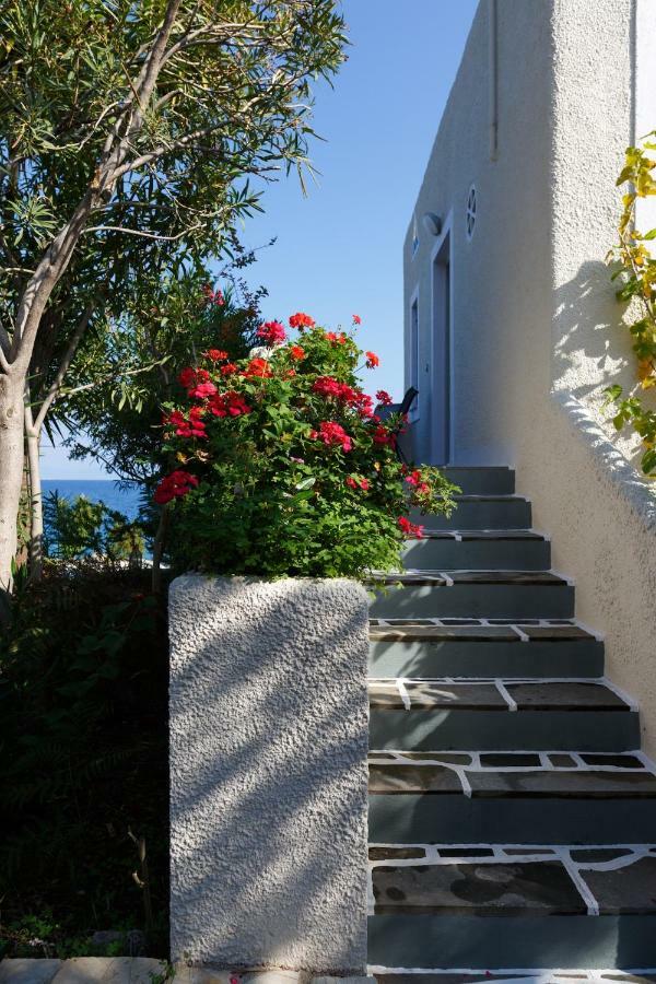 Into The Blue Villa Arkadiko Chorio Екстер'єр фото